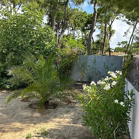 Prázdninový dům Maison Du Rocher - 300 M De La La Tranche-sur-Mer